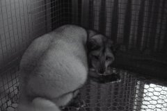 005-Frettam.002